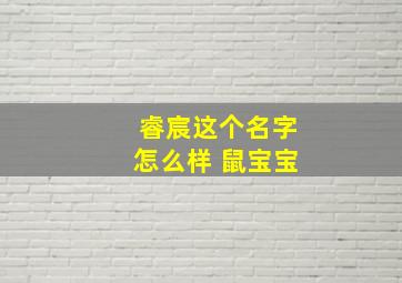 睿宸这个名字怎么样 鼠宝宝